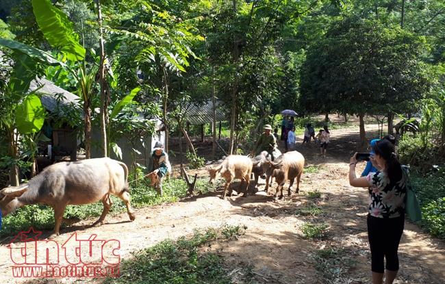 Cộng đồng bản Mường nguyên sơ hấp dẫn du khách ảnh 6